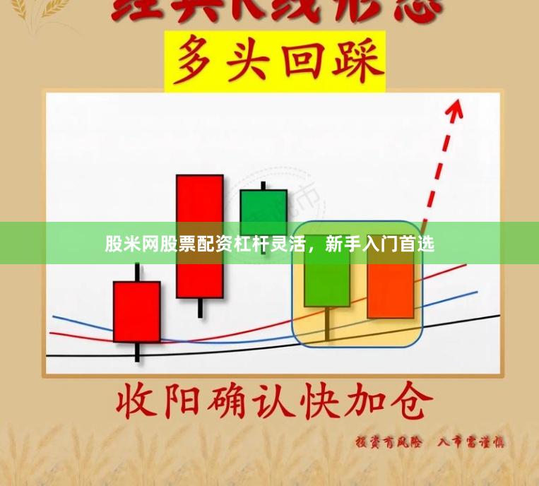 股米网股票配资杠杆灵活，新手入门首选
